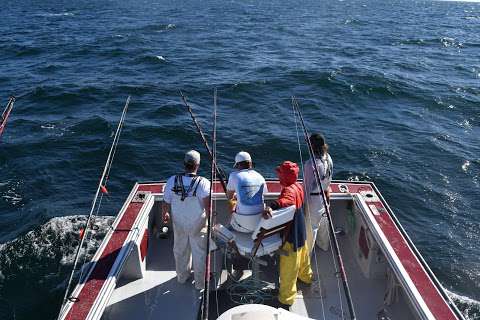 Blazing Bluefin Tuna Charters Blazing Bluefin Tuna Charters