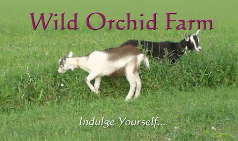 Wild Orchid Farm